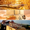 Product Abeille Royale Honey Treatment Night Cream 50ml thumbnail image
