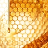 Product Abeille Royale Clarify & Repair Cream - Refill 50ml thumbnail image