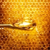 Product Abeille Royale Intense Cleansing Oil 150ml thumbnail image