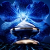 Product Orchidée Impériale The Longevity Light Cream - Refillable 50ml thumbnail image