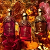 Product Absolus Allegoria Ambre Samar Eau De Parfum 125ml thumbnail image