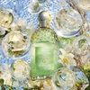 Product Aqua Allegoria Perle Nerolia Vetiver Eau De Parfum - Limited Edition 125ml thumbnail image