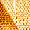 Product Abeille Royale Night-Taping Treatment Night Cream - Refillable 50ml thumbnail image