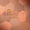 Product Terracotta Summer Glow - The Sun-Kissed Natural Healthy Glow Powder - Limited Edition 10g thumbnail image