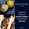 Product Sauvage Eau De Toilette Refillable 100ml thumbnail image