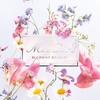 Product Miss Dior Blooming Bouquet Roller Pearl Eau De Toilette 20ml thumbnail image
