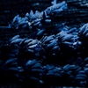 Product Sauvage Elixir Fragrance 60ml thumbnail image