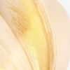 Product J' Adore L' Or Essence De Parfum 80ml thumbnail image