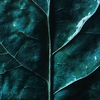 Product Sauvage Extrait 50ml thumbnail image