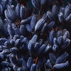 Product Sauvage Extrait 50ml thumbnail image