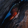 Product Sauvage Extrait 50ml thumbnail image