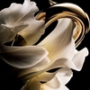 Product Million Gold For Her Eau De Parfum Set thumbnail image