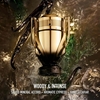 Product Invictus Parfum Elixir 100ml thumbnail image