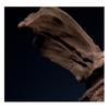 Product Collection Extraordinaire Santal Blanc Eau De Parfum 75ml thumbnail image