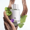 Product Explorer Platinum Eau De Parfum 60ml thumbnail image