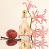 Product I Want Choo Eau De Parfum Set thumbnail image