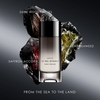 Product Le Sel D'Issey Parfum 50ml thumbnail image