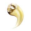 Product Serie Expert - Absolut Repair Shampoo - Protein + Gold Quinoa 1500ml thumbnail image