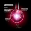 Product Serie Expert Curl Expression 10 σε 1 Κρεμώδης Αφρός για Μπούκλες 250ml thumbnail image