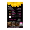 Product Olia Μόνιμη Βαφή Μαλλιών Χωρίς Αμμωνία No.4.3 Καστανό Χρυσαφί 60g thumbnail image