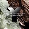 Product Y Eau de Parfum 60ml thumbnail image