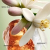 Product Paradoxe Eau De Parfum - Refillable 90ml thumbnail image