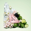 Product Paradoxe Eau De Parfum Set thumbnail image