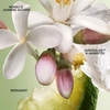 Product Paradoxe Virtual Flower Eau De Parfum - Refillable 90ml thumbnail image