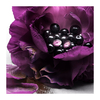 Product La Nuit Trésor Le Parfum 50ml thumbnail image