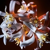 Product Libre Flowers & Flames Eau De Parfum Florale 30ml thumbnail image