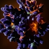 Product Libre Flowers & Flames Eau De Parfum Florale 50ml thumbnail image