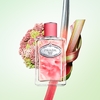 Product Infusion de Rhubarbe Eau De Parfum 100ml thumbnail image