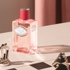 Product Infusion de Rhubarbe Eau De Parfum 100ml thumbnail image