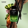 Product Paradigme Le Parfum - Refillable 50ml thumbnail image