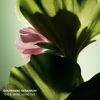 Product Paradigme Le Parfum - Refillable 50ml thumbnail image