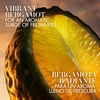 Product I Will Eau De Parfum - Refillable 60ml thumbnail image
