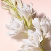 Product My Way Sunny Vanilla Eau De Parfum 50ml thumbnail image