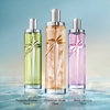 Product Starlicious Berry Licorice Eau Gourmande - Eau De Toilette 75ml thumbnail image