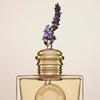 Product Burberry Goddess Eau De Parfum - Refillable 100ml thumbnail image