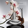 Product Euphoria Signature Elixir - Parfum Intense 50ml thumbnail image