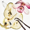 Product Nude Vanilla Hair & Body Perfume Mist 100ml thumbnail image