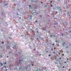 Product GelColor Terribly Nice Collection Put On Something Ice Gel Nail Polish 15ml thumbnail image