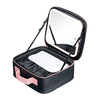 Product Beauty Case With Mirror thumbnail image