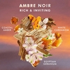Product Ambre Noir Shower Gel 250ml thumbnail image