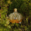 Product Soleil Vibrant Lalique Eau De Parfum 100ml thumbnail image