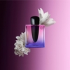 Product Ginza Night Eau De Parfum Intense 50ml thumbnail image