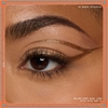 Product Holiday Candy Swirl Liner - Epic Ink Liner Glitz - 01 Spice Spice Baby 1ml thumbnail image