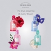 Product I Fiori Di Iris Blu Dei Colli Toscani Eau De Toilette 100ml thumbnail image