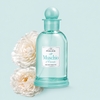Product Il Muschio D' Oriente Eau De Toilette 100ml thumbnail image
