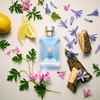 Product Versace Pour Homme Eau De Toilette 30ml thumbnail image
